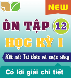 Ôn tập Học kỳ I (KNTT_HH12_B1)